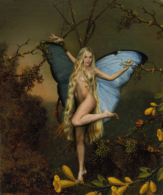 Nude Fairy Art Book Cover