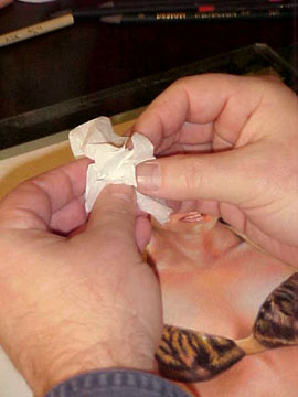 tissue-2.jpg (27549 bytes)
